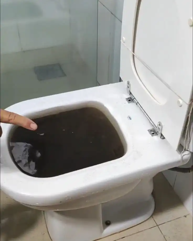 Desentupimento de Vaso Sanitário